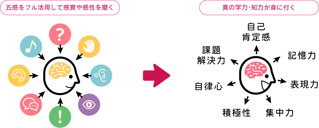 五感をフル活用して感覚や感性を磨く→真の学力・知力が身に付く
